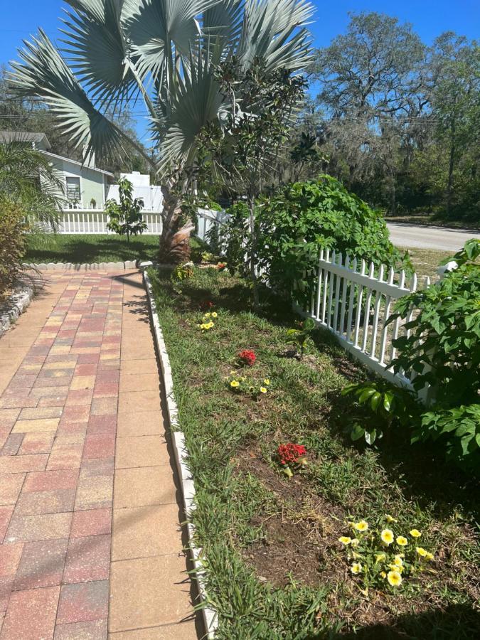 Caribbean Splendor Vacation Rental Near Bush Gardens Tampa Fl Exteriör bild