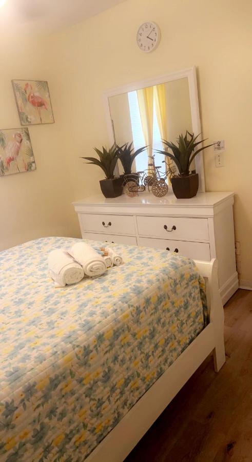 Caribbean Splendor Vacation Rental Near Bush Gardens Tampa Fl Exteriör bild